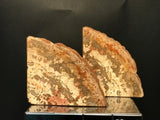 Beautiful Pair of Petrified Wood Bookends