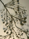 Beautiful and Rare Curtis Jere Brass Tree Branch Wall Sculpture